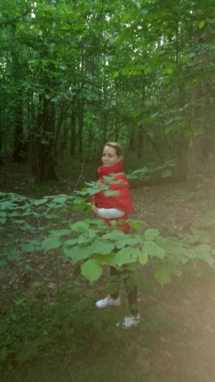 ���������� ��������, ���� ������� ����, 41 ���, ������������ ��� ������, ����� � ���������