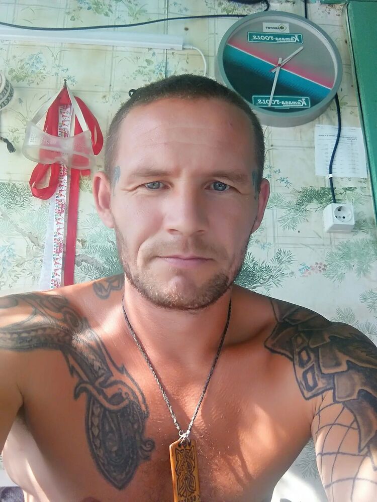  33226678  , 41 ,    