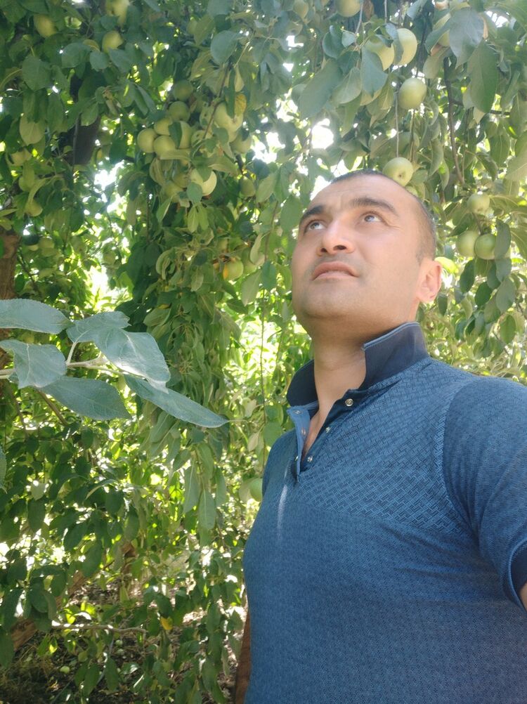 ���������� ���������, ���� ������� Alisher, 41 ���, ������������ ��� ������, ����� � ���������, c�������� ���������