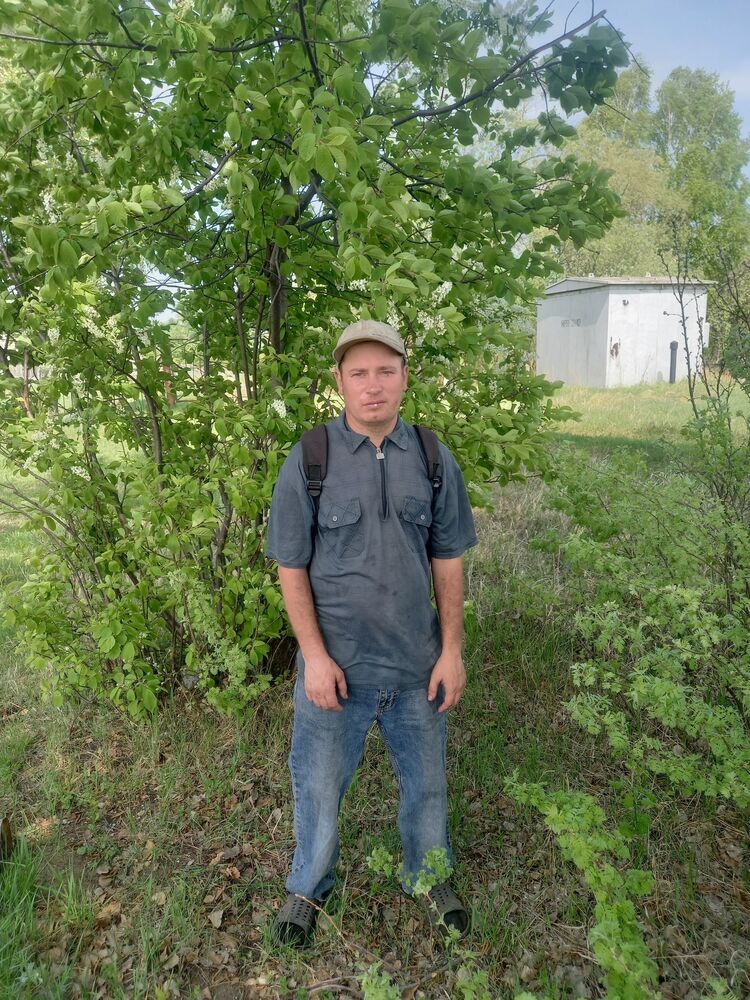 ���� 40373628 ������� ϸ��, 33 ����, ���� ���������� � ��������