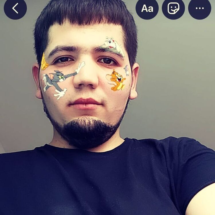  28881088  , 24 ,    -