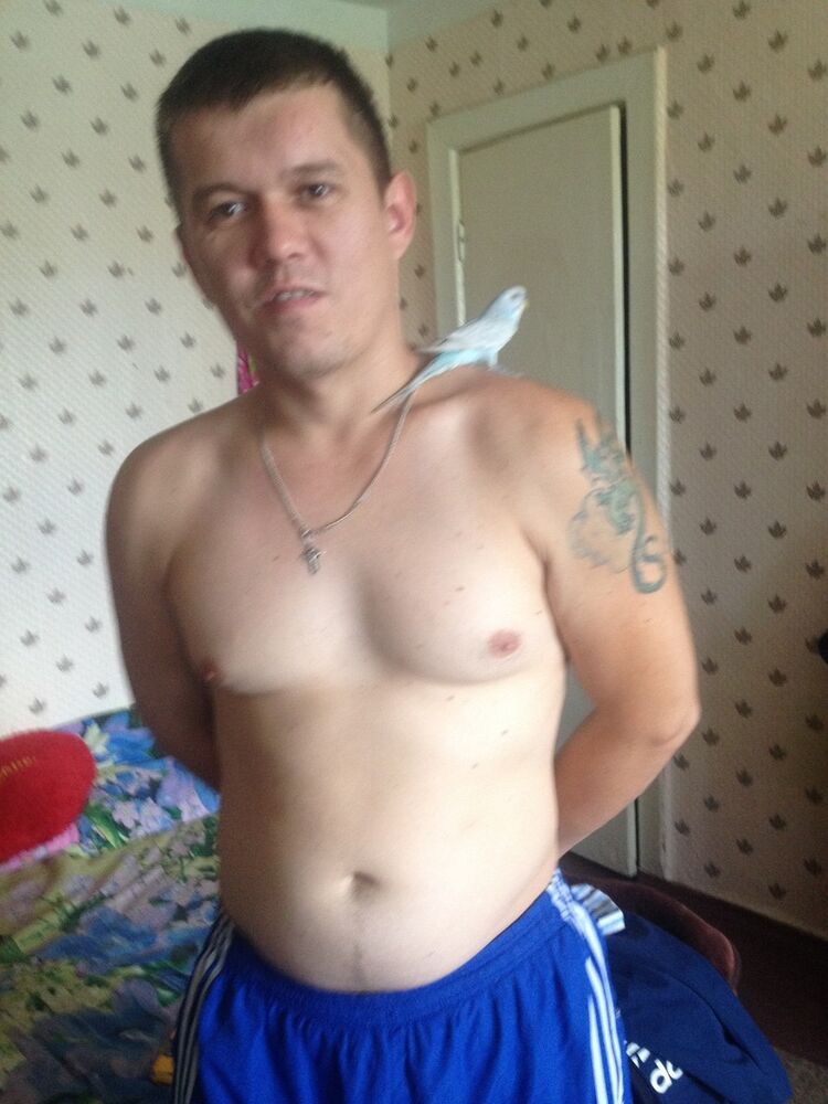 ���� 8217088 ������� ������, 36 ���, ���� ���������� � ������