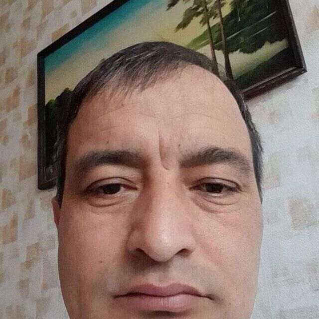 42692478  , 46 ,    