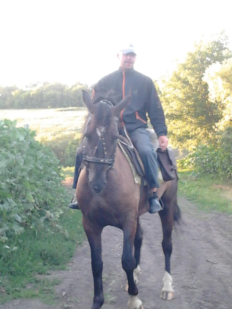 ���������� ������-��-����, ���� ������� ���������, 43 ����, ������������ ��� c�������� ���������