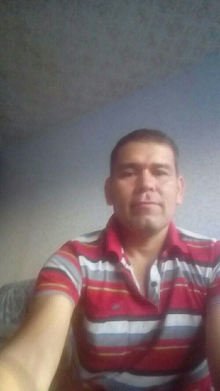  34628428  , 43 ,    