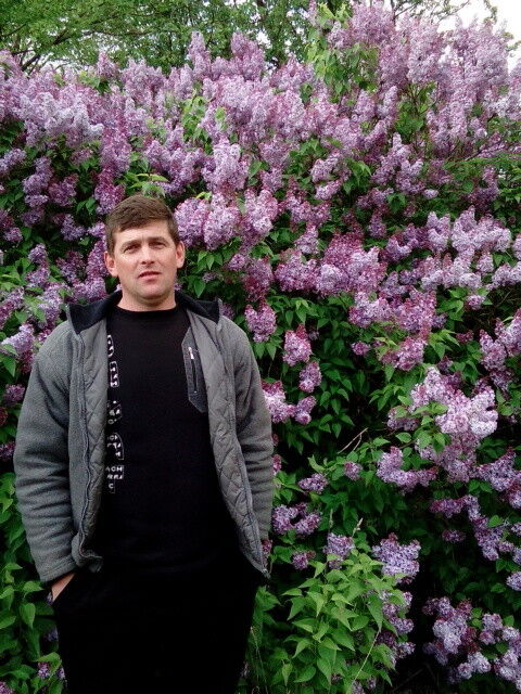 ���������� ������, ���� ������� ����, 50 ���, ������������ ��� ������, ����� � ���������, c�������� ���������