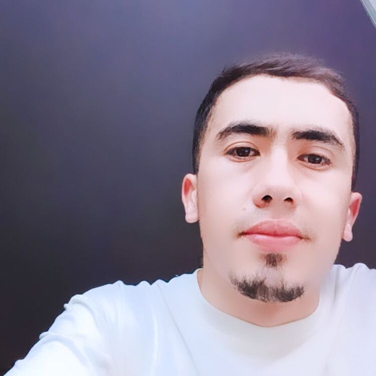  53465218  , 26 ,    -