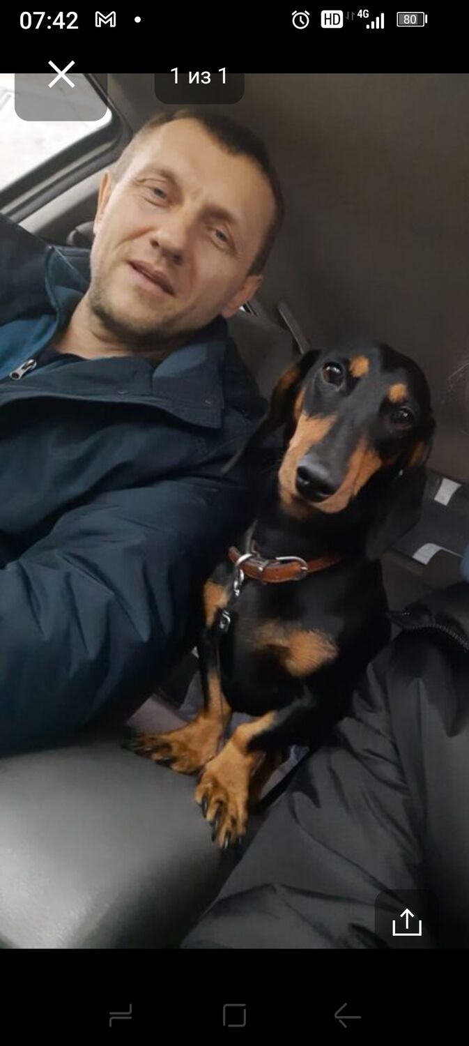 ���������� �����������, ���� ������� �������, 46 ���, ������������ ��� ����� � ���������