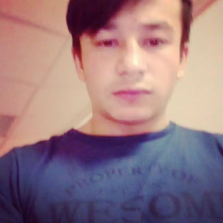  23886348  , 29 ,    -