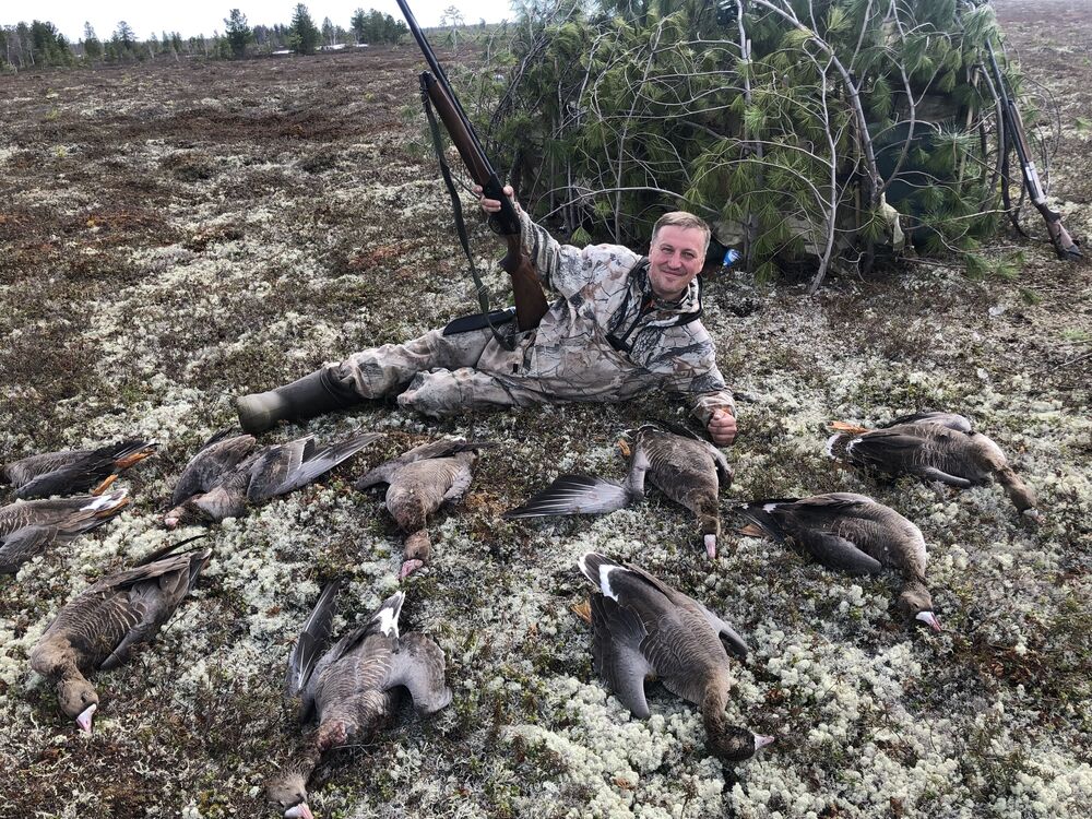 ���� 54994028 ������� ������, 53 ����, ���� ���������� � �������