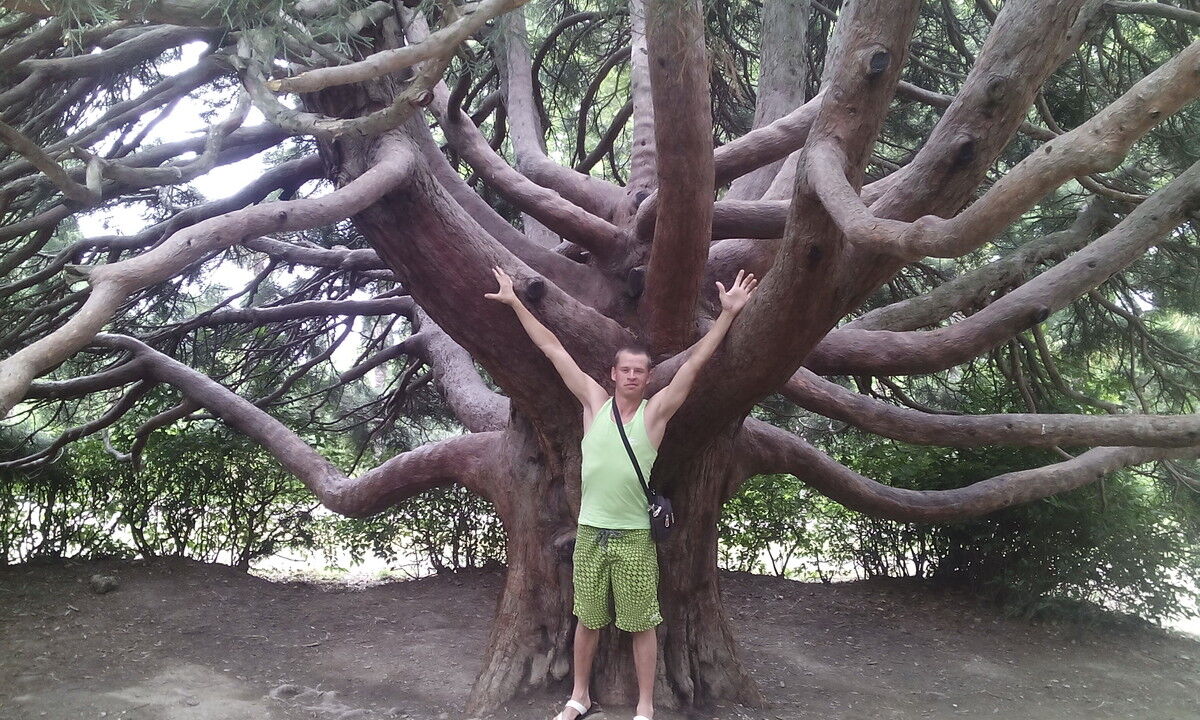 ���� 8252348 ������� Dimon, 41 ���, ���� ���������� � �����������