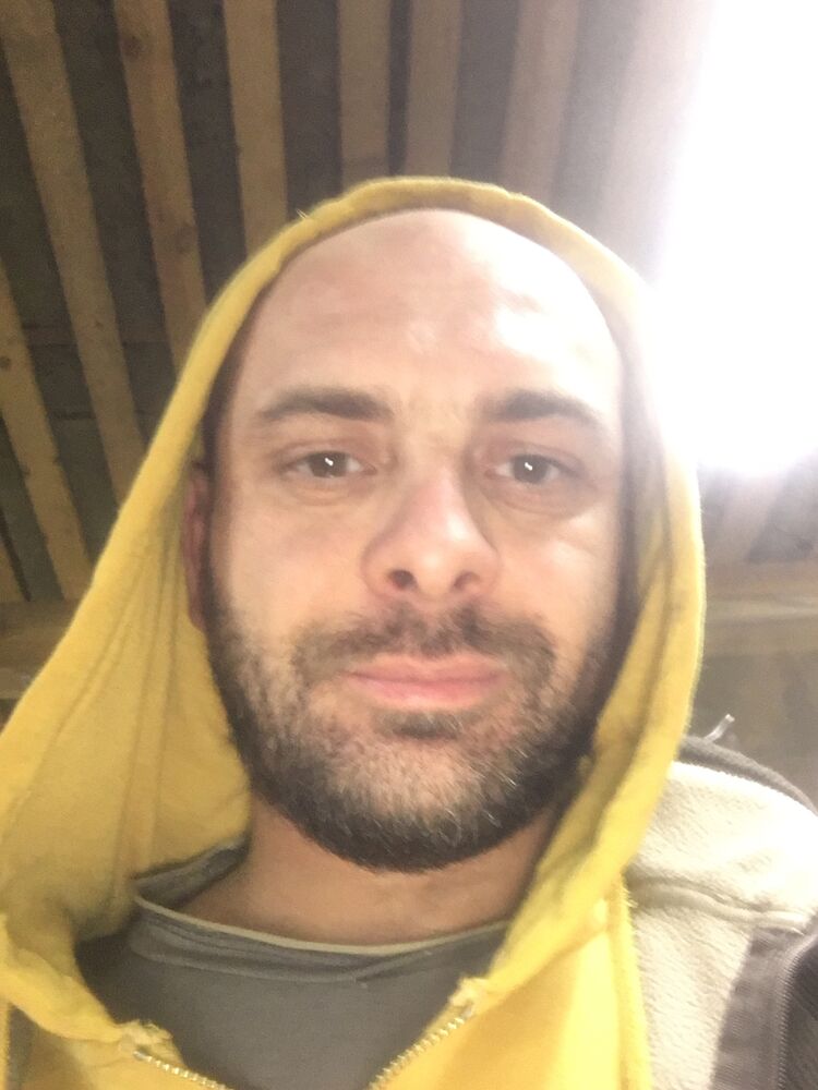 ���� 56182818 ������� ����, 41 ���, ���� ���������� � �������