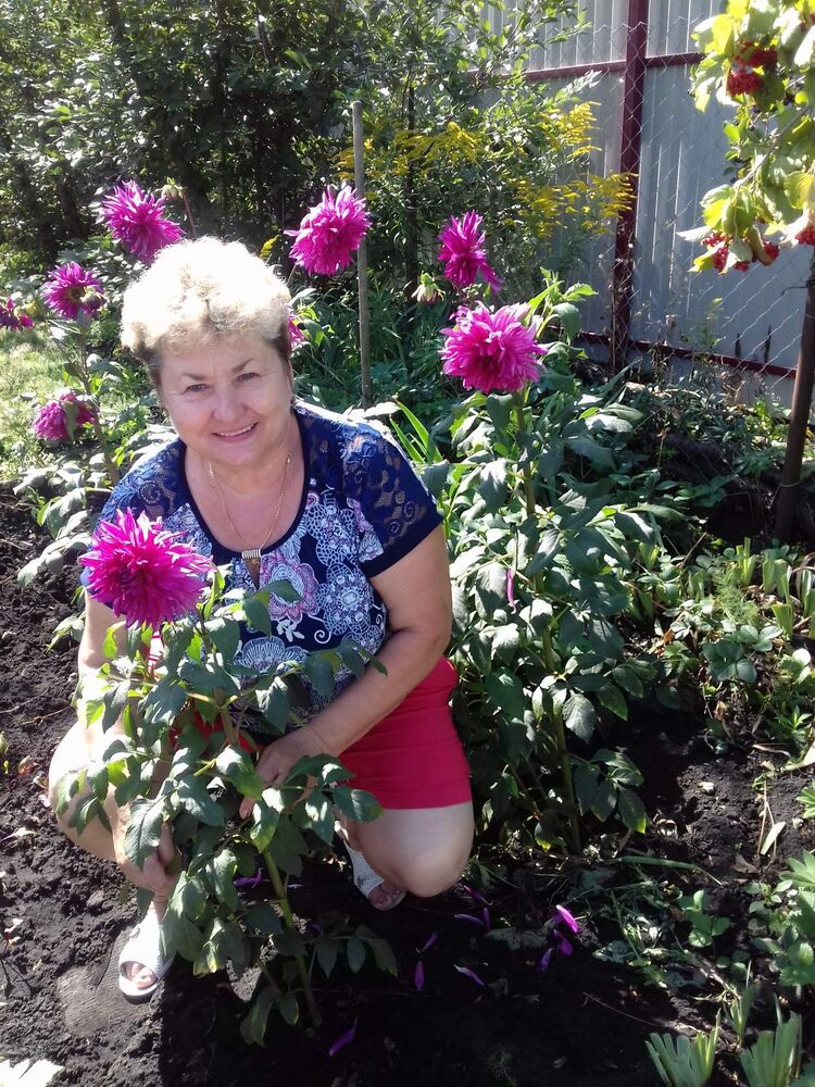 ���������� �����, ���� ������� ��������, 64 ����, ������������ ��� c�������� ���������