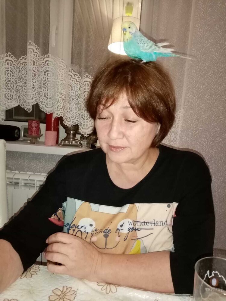 ���������� ������, ���� ������� �������, 51 ���, ������������ ��� ������, ����� � ���������