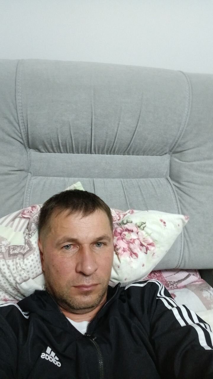 38955198  , 41 ,    