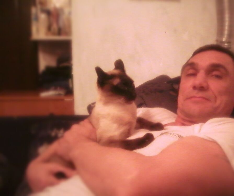  27352838  , 56 ,    -