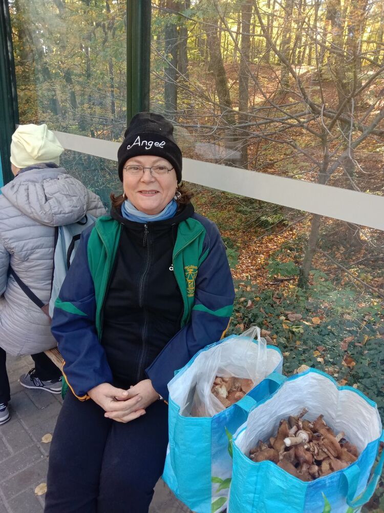  31993648  Nina, 65 ,    