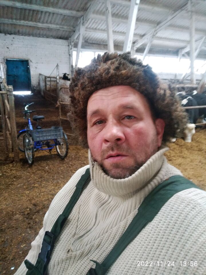  50332878  , 48 ,    