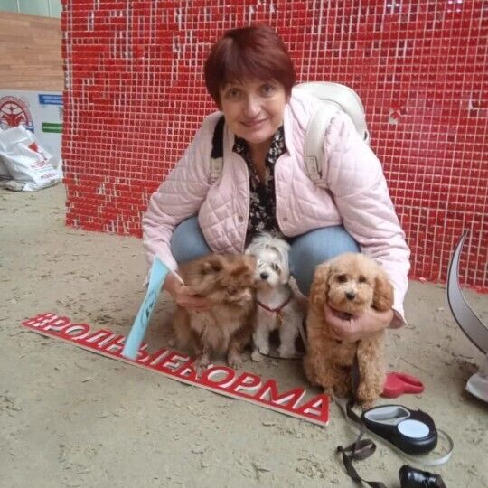 ���� 55875788 ������� ����, 53 ����, ���� ���������� � ��������