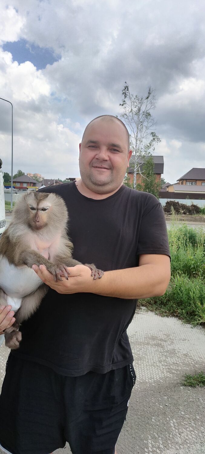 ���� 55940068 ������� ������, 40 ���, ���� ���������� � ������