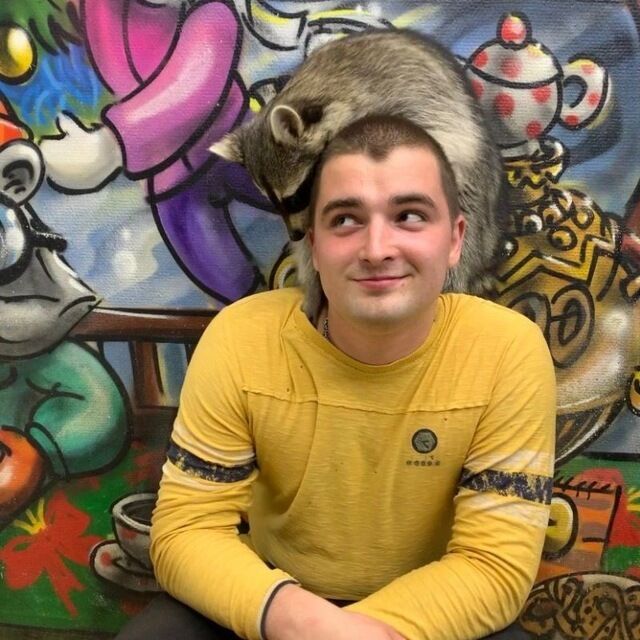  54653468  , 26 ,    -