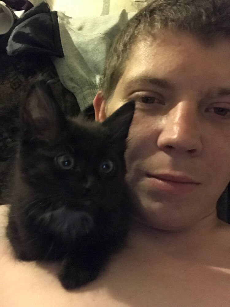 ���� 27177818 ������� ���������, 29 ���, ���� ���������� � �������