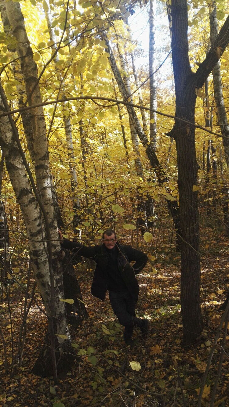 ���� 24204618 ������� ������, 41 ���, ���� ���������� � ������