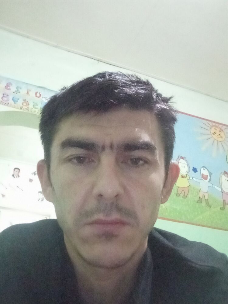  37981668  , 40 ,    