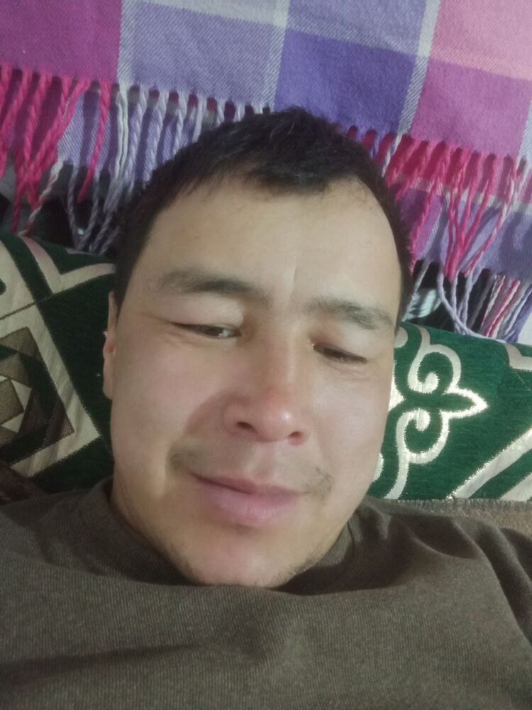  49630688  , 36 ,    