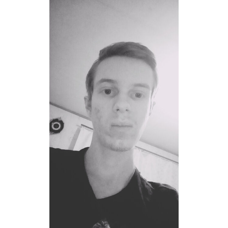  16027028  , 24 ,    