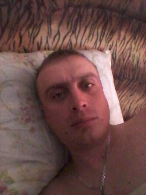  6308198  , 40 ,    