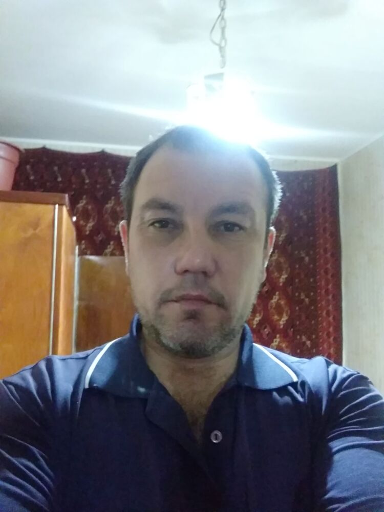  24281678  , 43 ,    