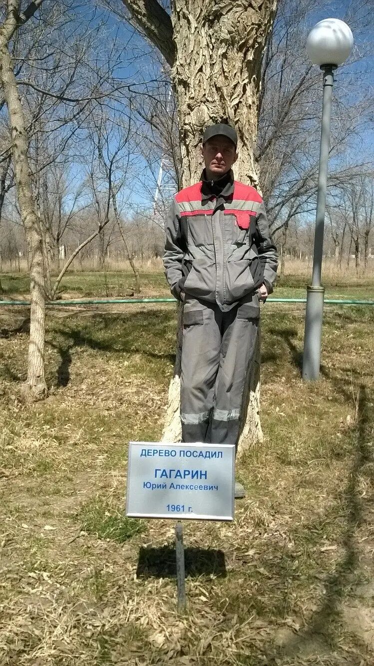 ���������� ������������, ���� ������� �����, 36 ���, ������������ ��� ������, ����� � ���������, ���������