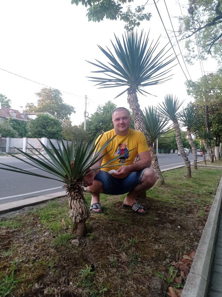 ���������� ������, ���� ������� ������, 44 ����, ������������ ��� ������, ����� � ���������, c�������� ���������