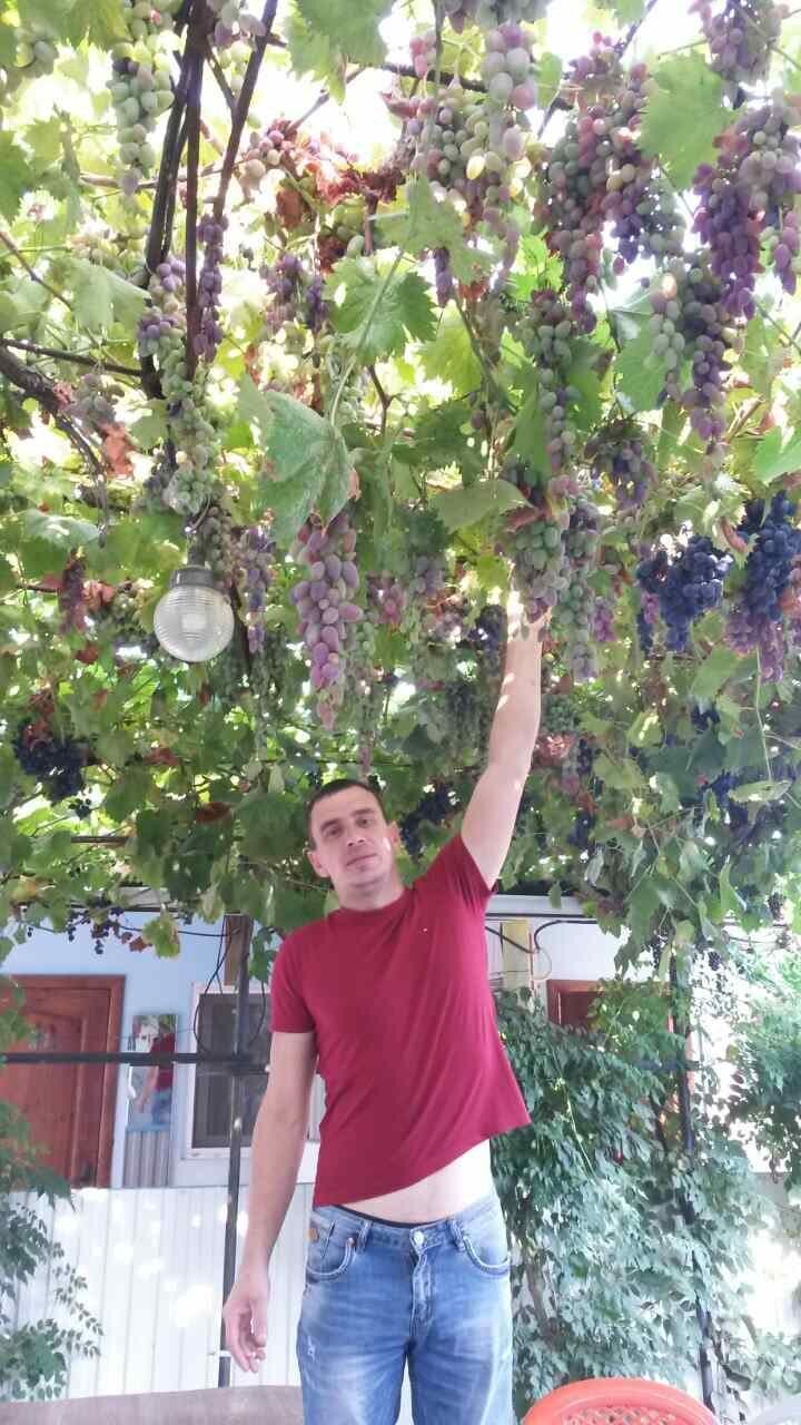 ���������� ����, ���� ������� ������, 44 ����, ������������ ��� ������, ����� � ���������