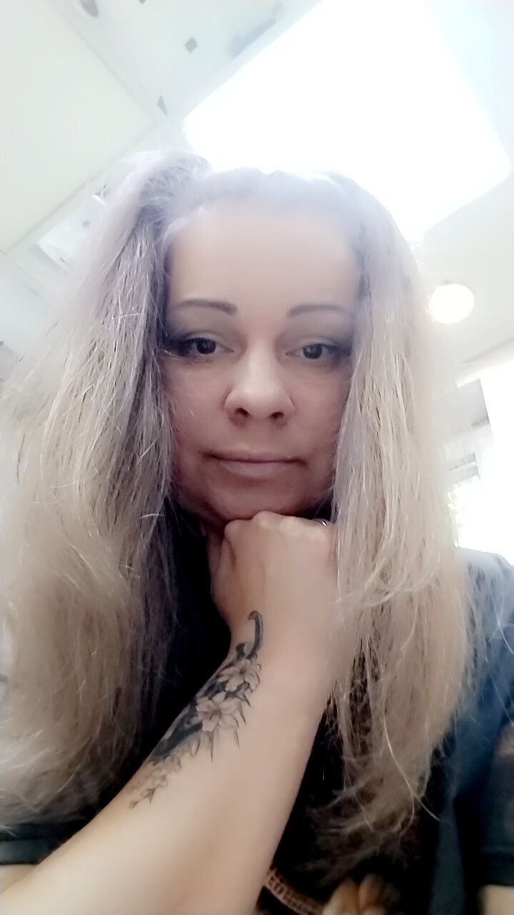  53728628  , 44 ,    -