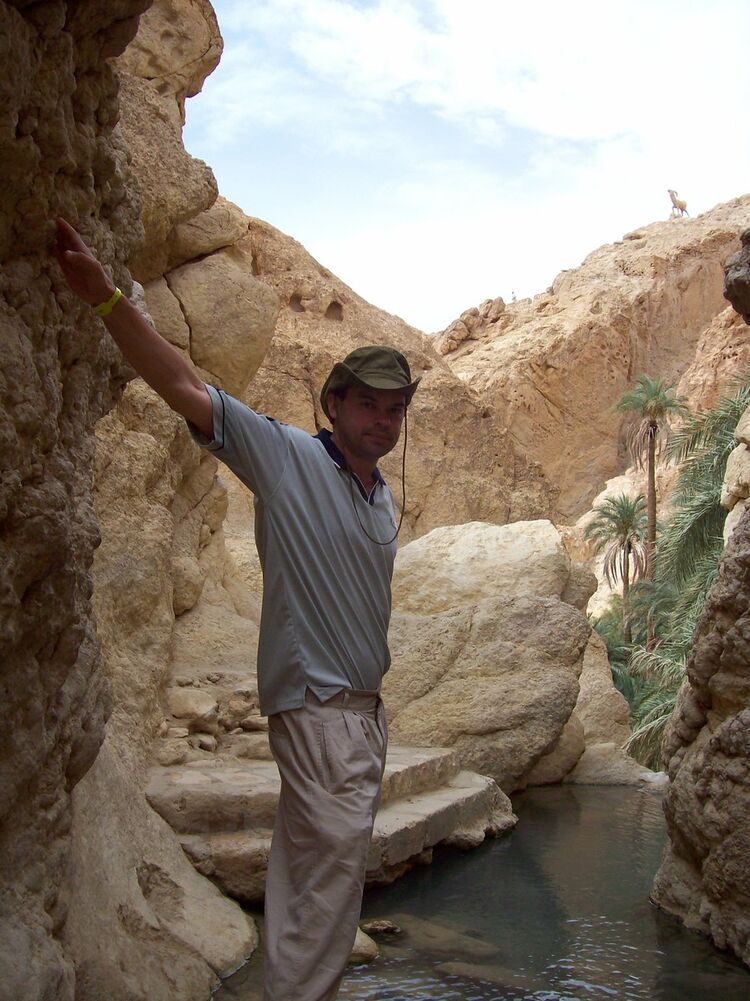 ���� 5355258 ������� �����, 50 ���, ���� ���������� � �����