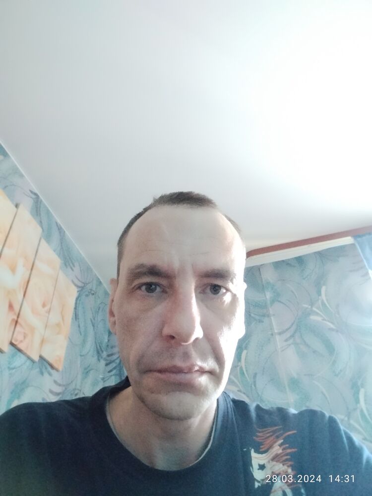  42423698  , 46 ,    -