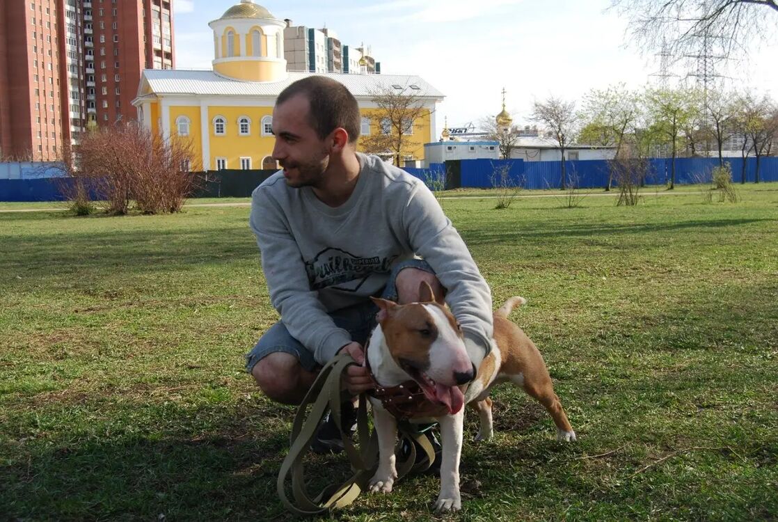  27495998  , 40 ,    -