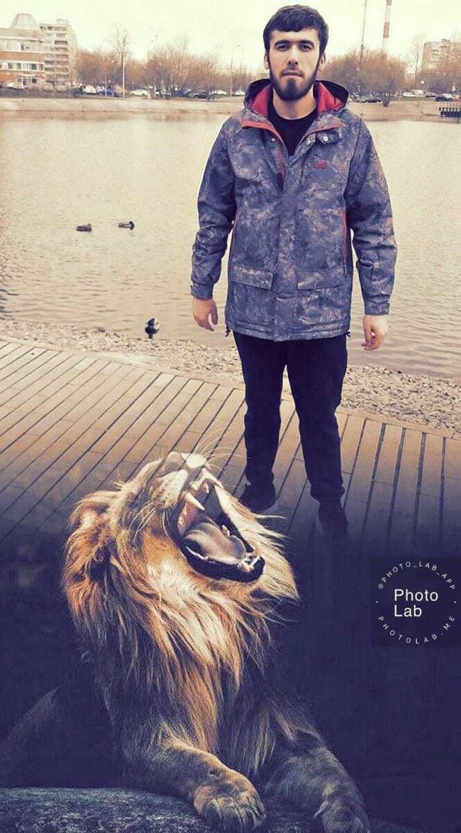 ���������� ������, ���� ������� �����������, 28 ���, ������������ ��� ������, ����� � ���������, c�������� ���������