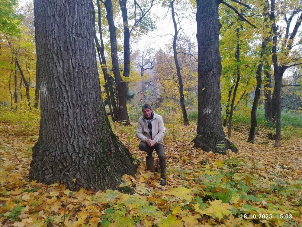 ���������� �������, ���� ������� ���������, 66 ���, ������������ ��� c�������� ���������