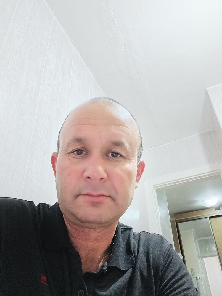  35511368  , 46 ,    