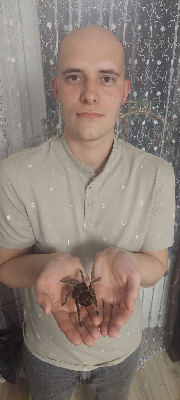 ���� 54941748 ������� �������, 29 ���, ���� ���������� � ������