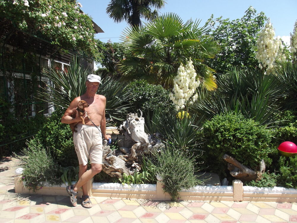  -,   , 75 ,   ,   , c 
