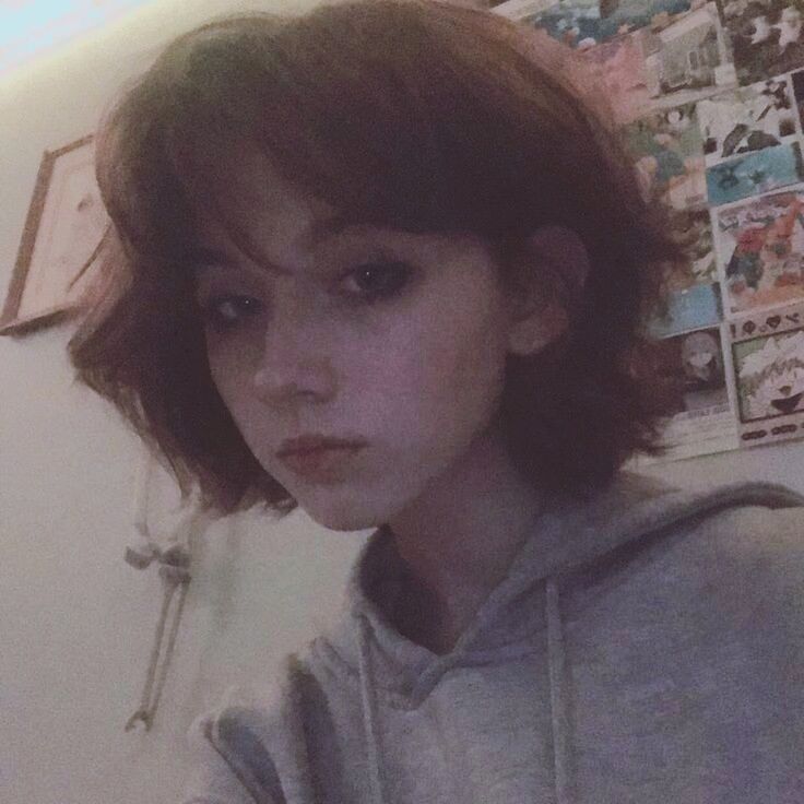 ���� 27787368 ������� ����, 23 ����, ���� ���������� � �����-����������