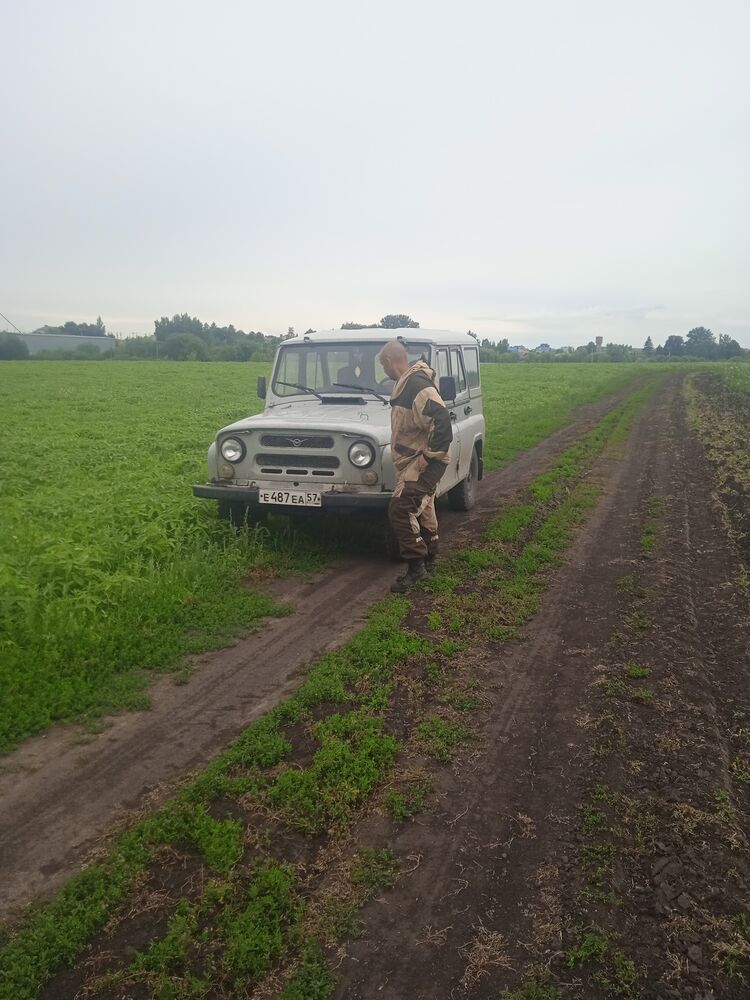 ���������� ����, ���� ������� ������, 35 ���, ������������ ��� ������, ����� � ���������, c�������� ���������