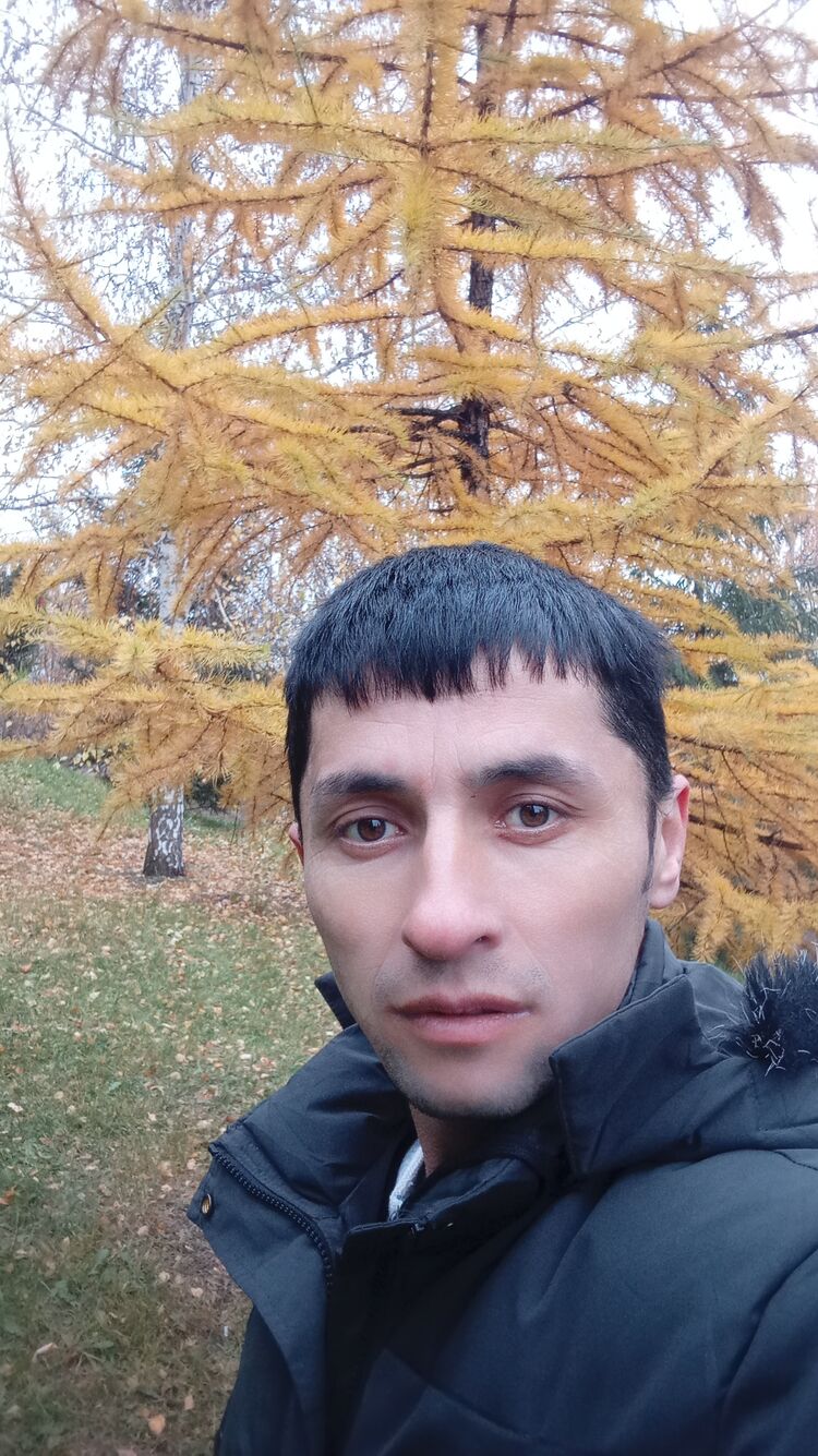  47356778  , 36 ,    