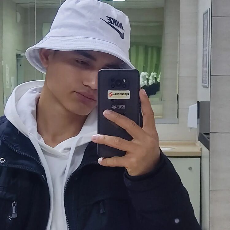 ���� 33536478 ����� �������, 23 ����, ���� ���������� � ���������