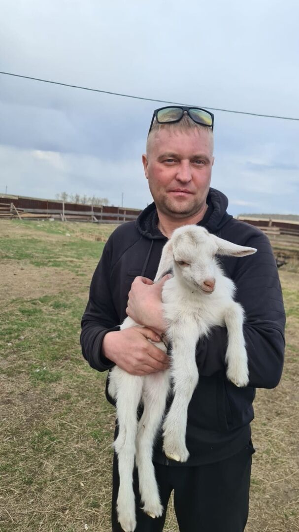 ���� 45209208 ������� ��������, 44 ����, ���� ���������� � ����������