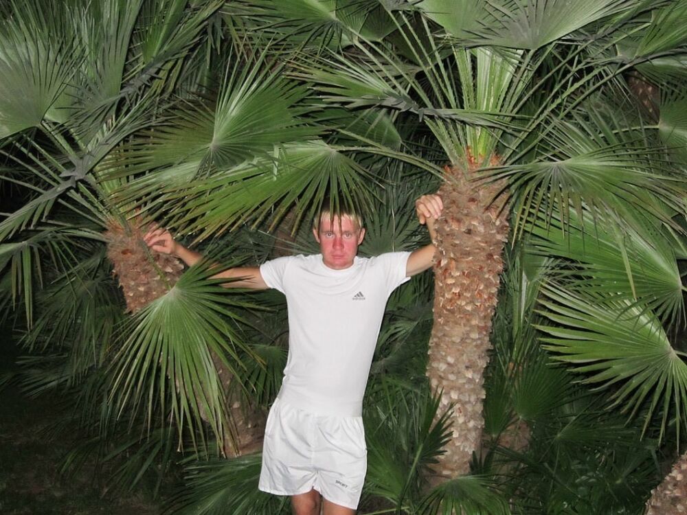 ���� 19403198 ������� ���������, 39 ���, ���� ���������� � ������